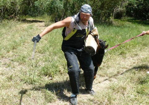 Seminar on Virgin Islands 2008